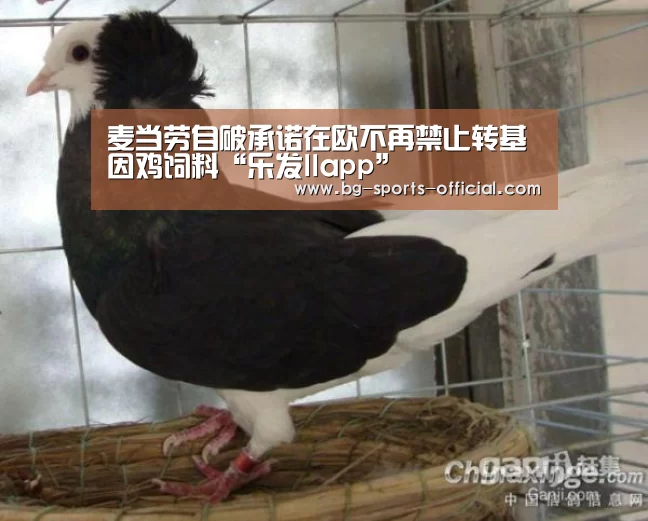 麦当劳自破承诺在欧不再禁止转基因鸡饲料“乐发IIapp”(图3) 乐发IIapp