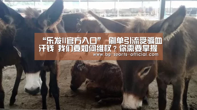 “乐发II官方入口”
刷单引流受骗血汗钱 我们要如何维权?你需要掌握两点关键(图4) 乐发II官方入口