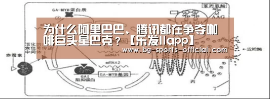 为什么阿里巴巴、腾讯都在争夺咖啡巨头星巴克?【乐发IIapp】(图2) 乐发II官网