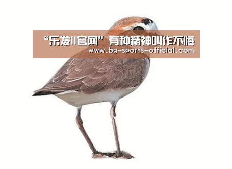 “乐发II官网”有种精神叫作不悔(图2) 乐发II官网