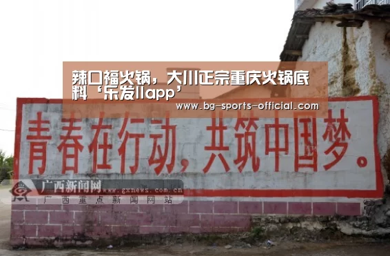 乐发IIapp