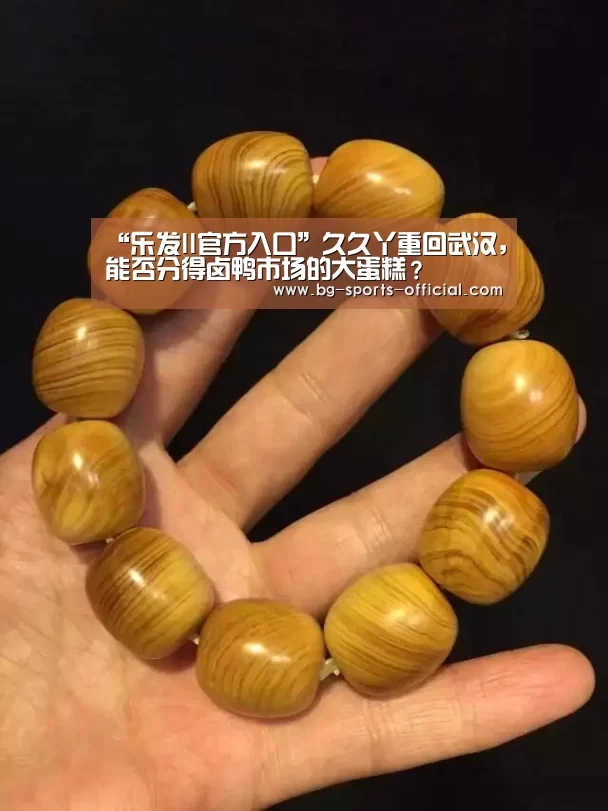 “乐发II官方入口”久久丫重回武汉,能否分得卤鸭市场的大蛋糕?(图1) 乐发II官网