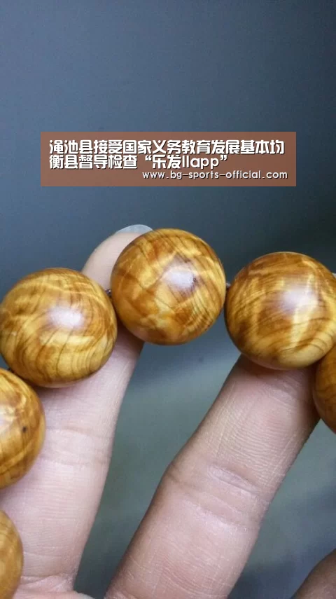 乐发IIapp